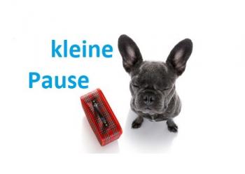 Bin bald wieder da